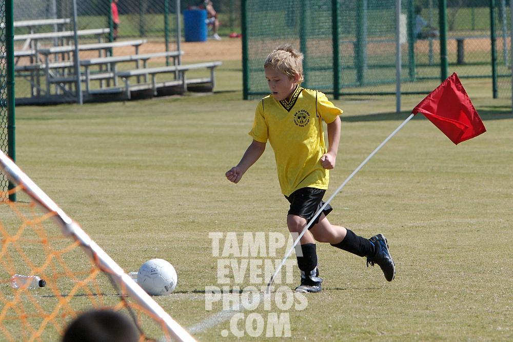_MG_0036.jpg