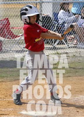 IMG_4529
