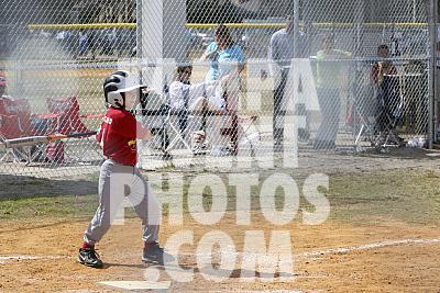 IMG_4531