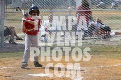 IMG_4550