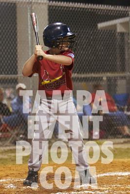 IMG_4833.jpg