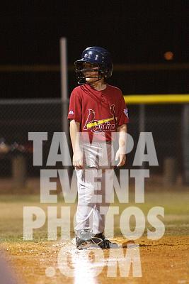IMG_4849.jpg
