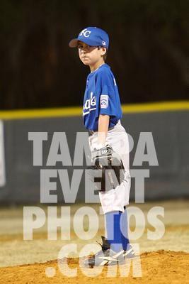 IMG_4862.jpg