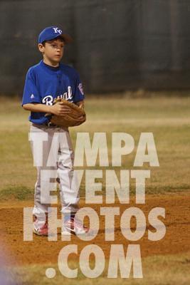 IMG_4868.jpg