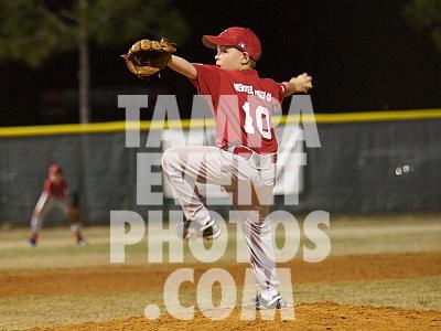 IMG_4880.jpg