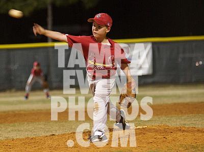 IMG_4882.jpg