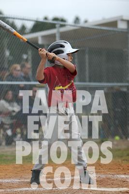 IMG_5005.jpg