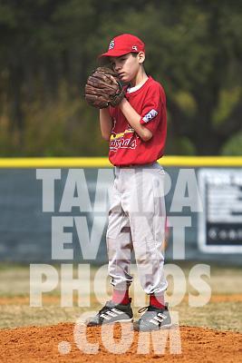 IMG_5328.jpg