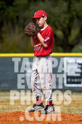IMG_5329.jpg