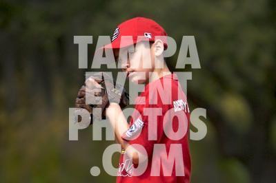 IMG_5331.jpg