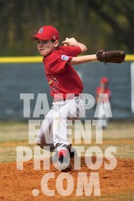 IMG_5339.jpg