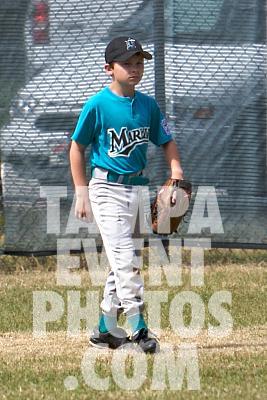 IMG_5348.jpg