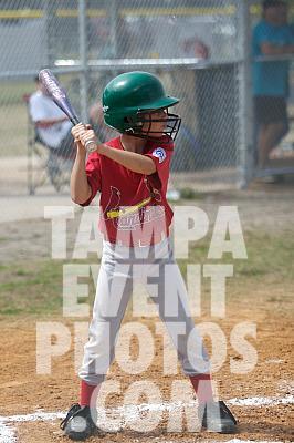 IMG_5350.jpg