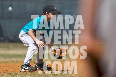IMG_5411.jpg