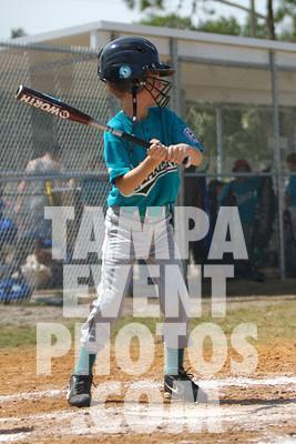 IMG_5456.jpg