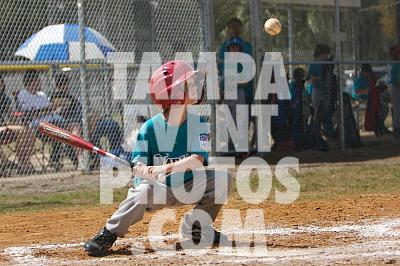 IMG_5461.jpg