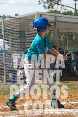 IMG_5462.jpg