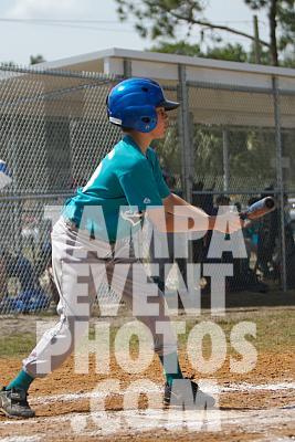 IMG_5463.jpg