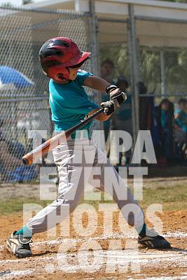 IMG_5466.jpg