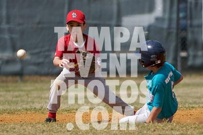 IMG_5552.jpg
