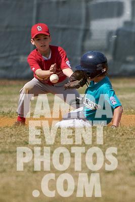 IMG_5553.jpg