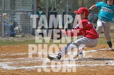 IMG_5554.jpg
