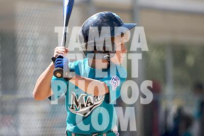 IMG_5559.jpg