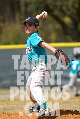 IMG_5579.jpg