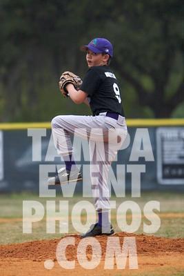 IMG_5703.jpg