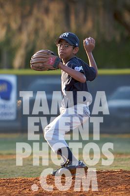 IMG_6530.jpg