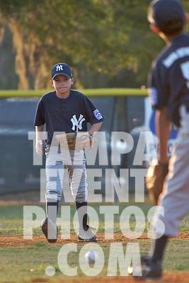 IMG_6536.jpg