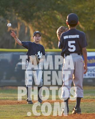 IMG_6537.jpg