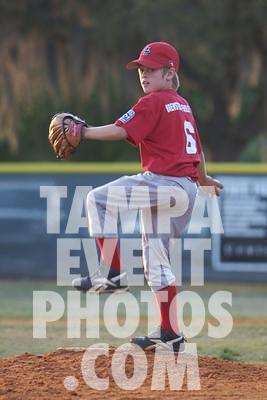 IMG_6550.jpg