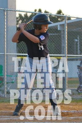 IMG_6556.jpg