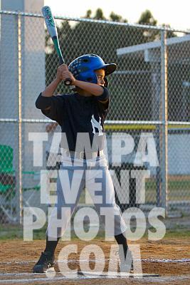 IMG_6568.jpg