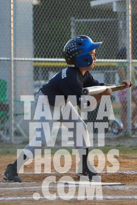 IMG_6575.jpg