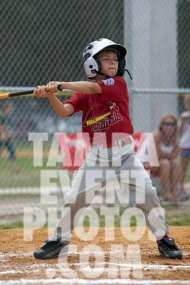 IMG_7189.jpg