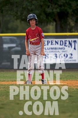 IMG_7191.jpg