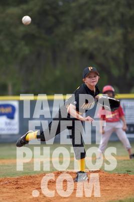 IMG_7204.jpg