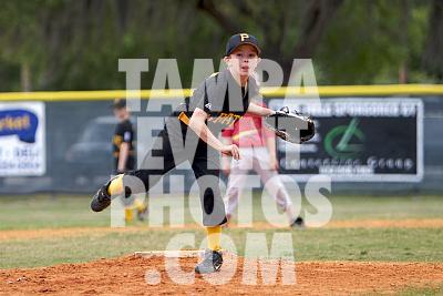 IMG_7206.jpg