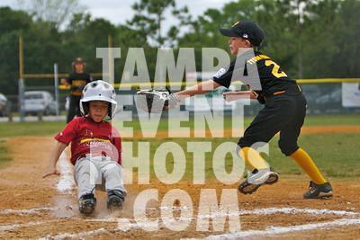 IMG_7211.jpg