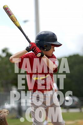 IMG_7230.jpg