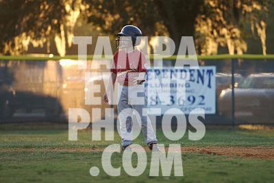_MG_7558.jpg