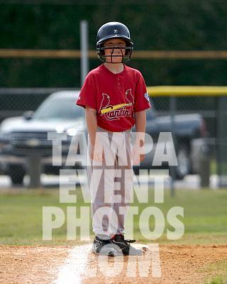 _MG_7801.jpg