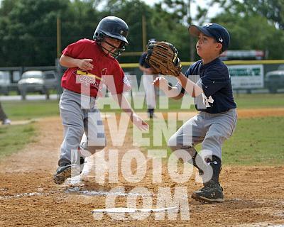 _MG_7806.jpg