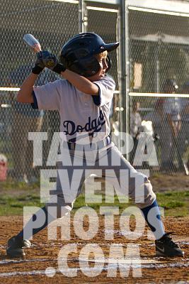 _MG_8586.jpg