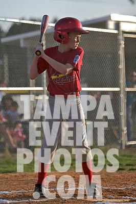 _MG_0018.jpg