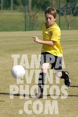 November 10, 2007