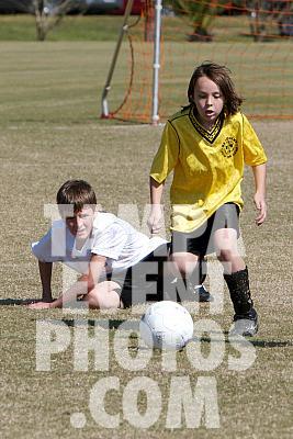 _MG_0015.jpg