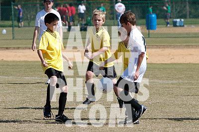 _MG_0026.jpg